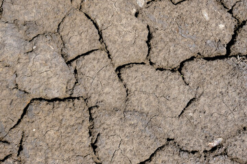 Wall texture soil dry crack pattern of drought lack of water of nature brown old broken background.
