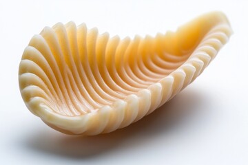 Elegant lumache pasta shell on white backdrop showcasing spiral texture and unique shape for culinary projects
