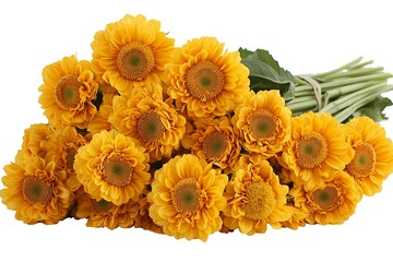 Yellow Gerbera Bouquet Isolated