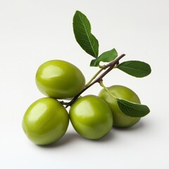 Fresh Green Olives on Branches