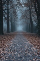 Obraz premium Serene Foggy Path in Autumn Forest