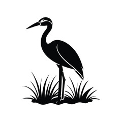 heron of green grass