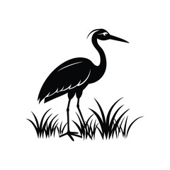 heron of green grass