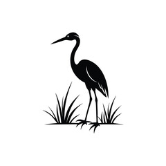 heron of green grass