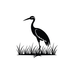 heron of green grass