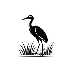 heron of green grass