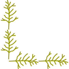 Wildflower Border Rustic Floral Elegance