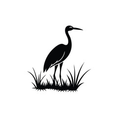 heron of green grass