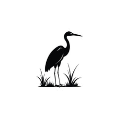 heron of green grass