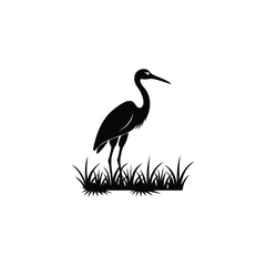 heron of green grass