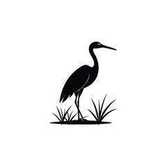 heron of green grass