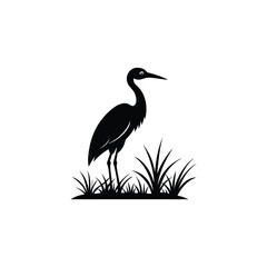 heron of green grass