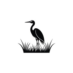 heron of green grass