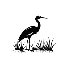 heron of green grass