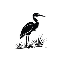 heron of green grass