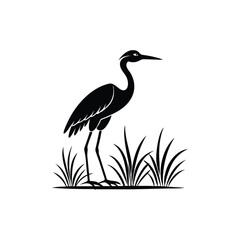 heron of green grass