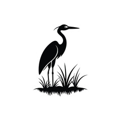 heron of green grass
