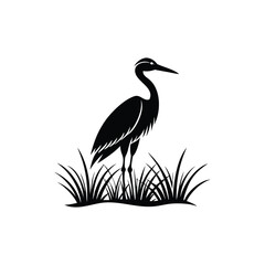 heron of green grass