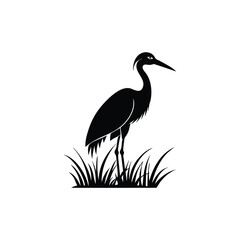 heron of green grass