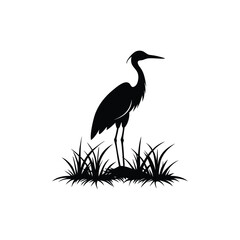 Fototapeta premium heron of green grass