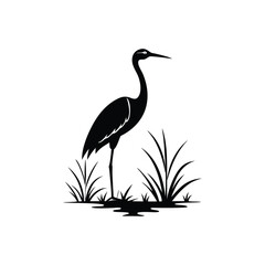 heron of green grass