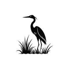heron of green grass