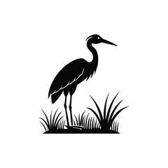 heron of green grass