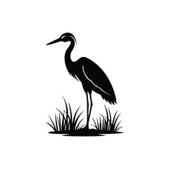 heron of green grass