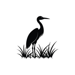 heron of green grass