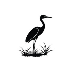 heron of green grass