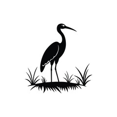 heron of green grass