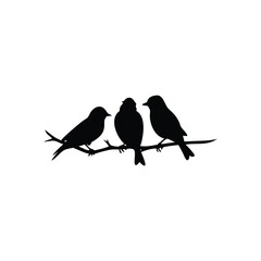 silhouette of a bird