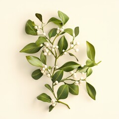 Obraz premium Fresh Green Leaves and White Berries on Light Background