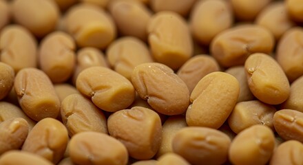 Obraz premium Close-up of Light Brown Fenugreek Seeds Trigonella foenum-graecum Organic Texture Macro Photography