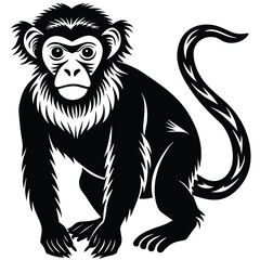 Fototapeta premium Monkey animal Silhouette isolated on white background
