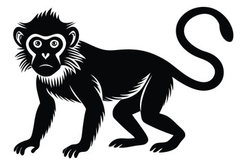 Obraz premium Monkey animal Silhouette isolated on white background