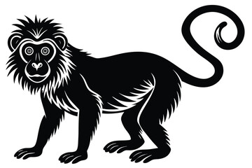 Obraz premium Monkey black silhouette on a white background