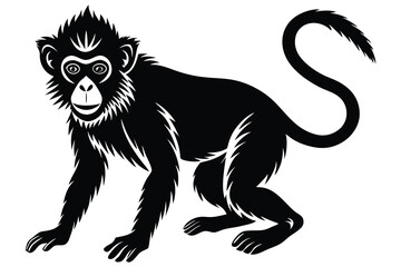 Obraz premium Monkey black silhouette on a white background