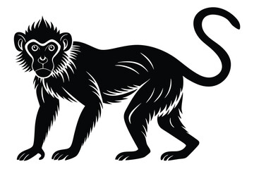 Obraz premium Black and white illustration of a monkey