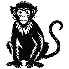 Hand drawn monkey silhouette