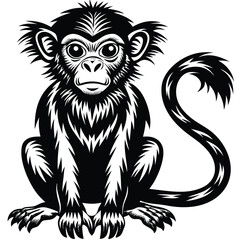 Obraz premium monkey silhouette