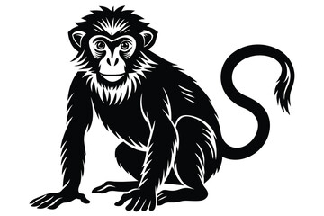 Fototapeta premium Monkey silhouette black and white
