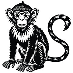 Obraz premium Monkey silhouette black and white