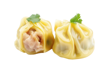 chinese steamed dumpling isolated
