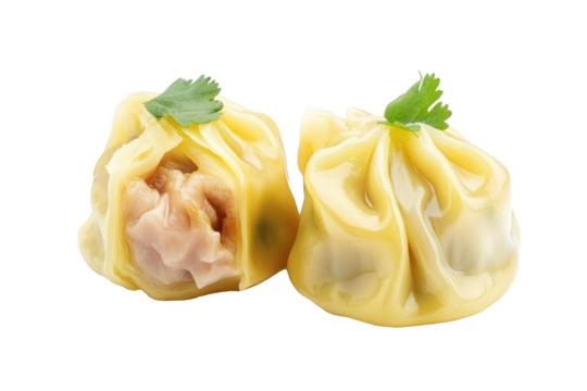 chinese steamed dumpling isolated