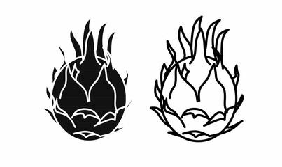Vector illustration of dragon fruit in outline and silhouette style. Perfect for food, tropical, botanical, organic, and healthy lifestyle-themed designs