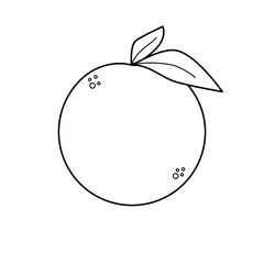 illustration of orange fruits for coloring book, coloring page for children