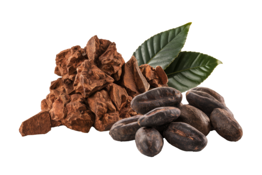 cocoa beans, nibs and leaves isolated on white background