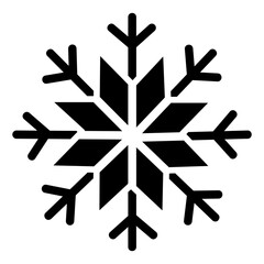 snowflake Solid icon