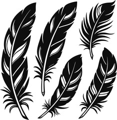 Obraz premium Elegant Feather Silhouette Collection.